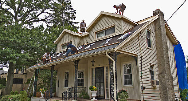 Best Metal Roofing Contractor  in Weed, CA