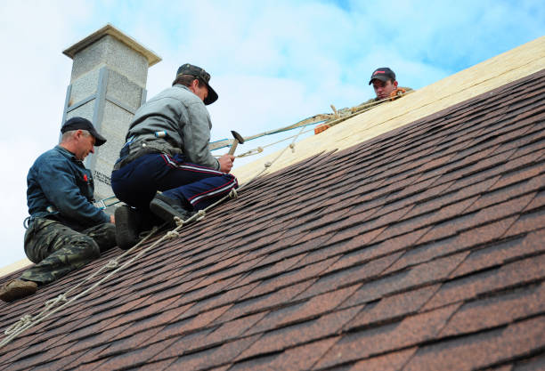 Best Roof Maintenance Services  in Weed, CA